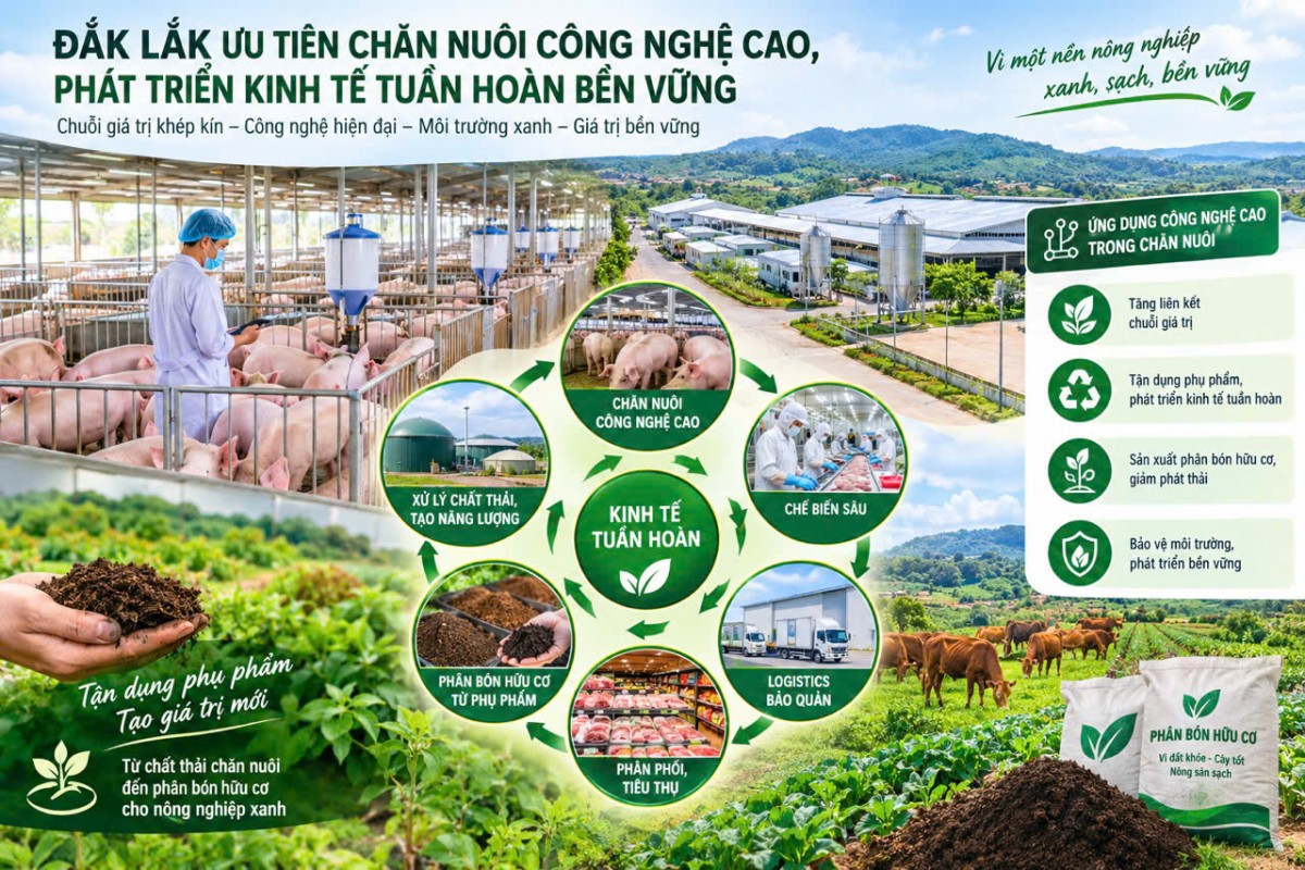 Đắk Lắk khai thác hiệu quả phụ phẩm chăn nuôi để phát triển phân bón hữu cơ
