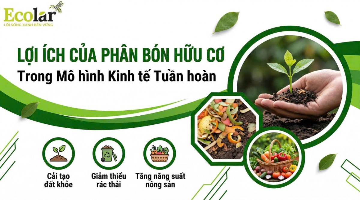 Đắk Lắk khai thác hiệu quả phụ phẩm chăn nuôi để phát triển phân bón hữu cơ