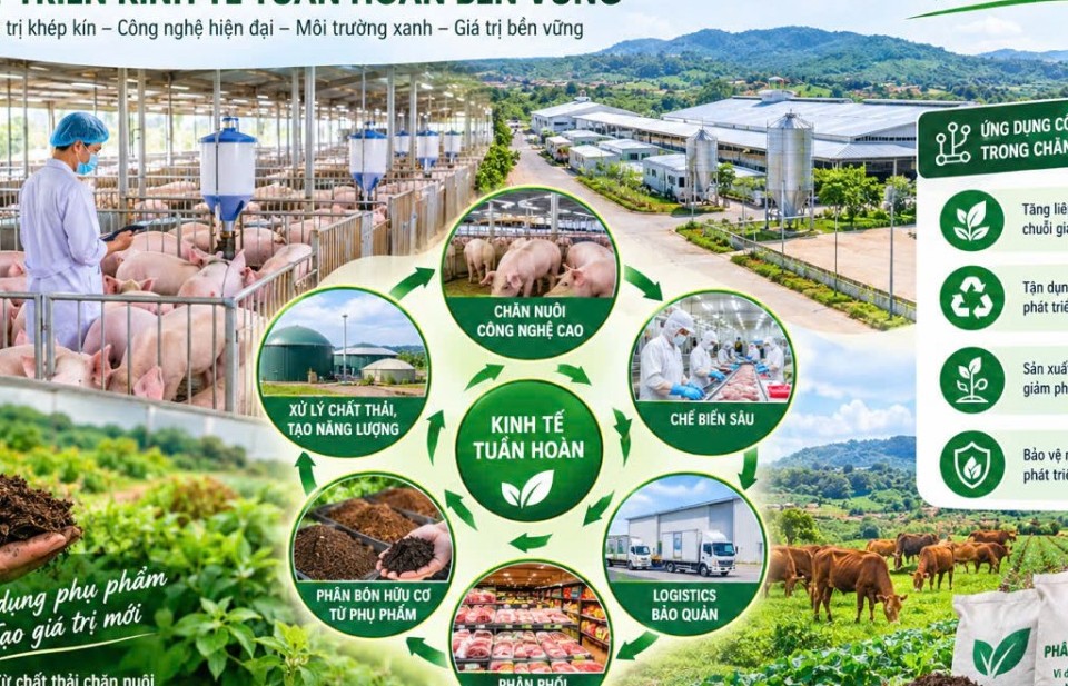 dak lak khai thac hieu qua phu pham chan nuoi de phat trien phan bon huu co