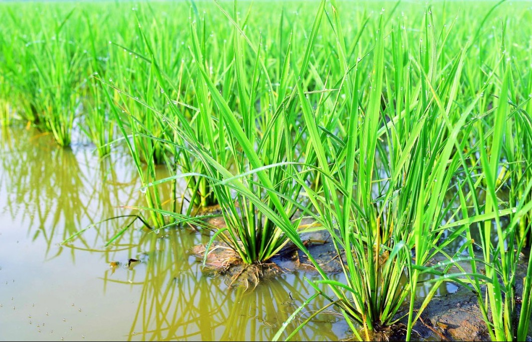 sua luat dat dai bao dam quyen loi nguoi dan chu trong sinh ke sau thu hoi dat
