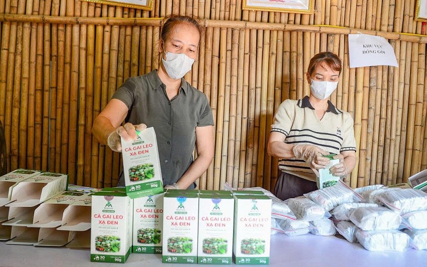 Công nhân đóng gói và kiểm tra sản phẩm 