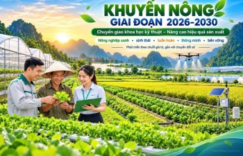 Ninh Bình triển khai kế hoạch khuyến nông năm 2027