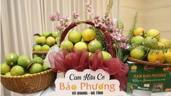 Hà Tĩnh: Đẩy mạnh đưa đặc sản địa phương lên sàn số