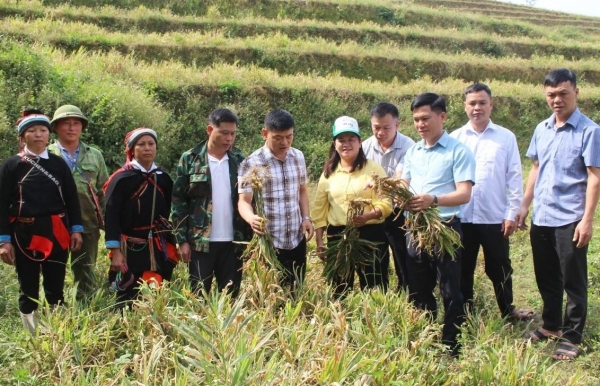 Tuyên Quang: Xã Đường Hồng đánh giá kết quả sản xuất nông, lâm nghiệp năm 2026