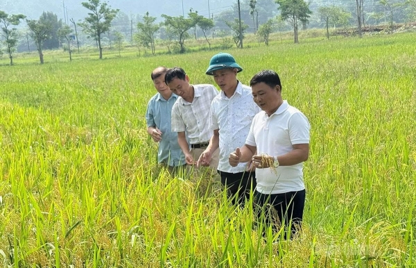 Từ quyết sách đúng đến chuyển biến thực chất trong phát triển nông nghiệp