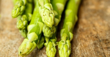 Robot thu hoạch măng tây AVL Compact S9: Chất lượng tương đương, tốc độ vượt trội