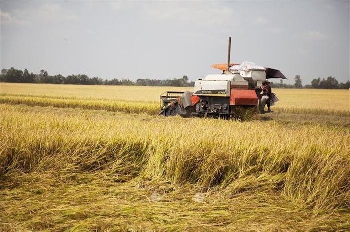 Mỹ tăng cường xúc tiến thương mại nông nghiệp với Việt Nam và một số nước