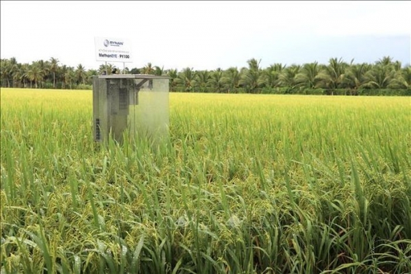 Tiến trình cho nông nghiệp xanh