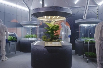 Các nhà khoa học trồng cây ăn được bằng phân bón làm từ bụi Sao Hỏa