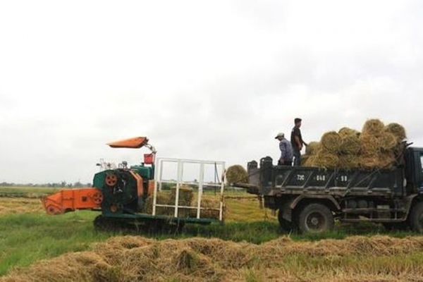 Cách giúp nông dân không phải vất vả xử lý rơm rạ mà vẫn có thu nhập