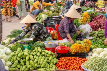 Can thiệp vào hệ thống thực phẩm để tăng lượng rau quả trong bữa ăn