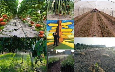 Tưới thông minh - Giải pháp xanh cho vùng hạn mặn Vĩnh Long