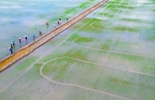 Người biến vùng đất "4 không" thành cánh đồng màu mỡ