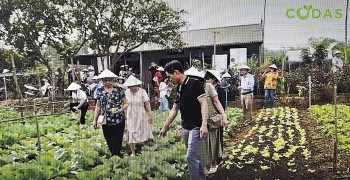 Về nguồn rau sạch cùng Biggreen