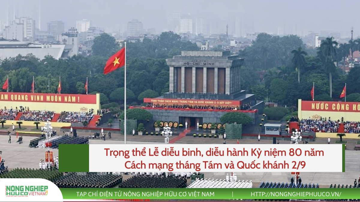 Trọng thể Lễ diễu binh, diễu hành Kỷ niệm 80 năm Cách mạng tháng Tám và Quốc khánh 2/9