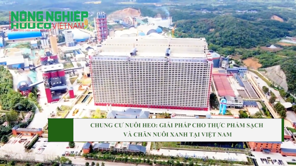 Chung cư nuôi heo: Giải pháp cho thực phẩm sạch và chăn nuôi xanh tại Việt Nam