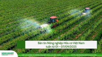 Bản tin Nông nghiệp hữu cơ, tuần từ 08 - 14/9/2025