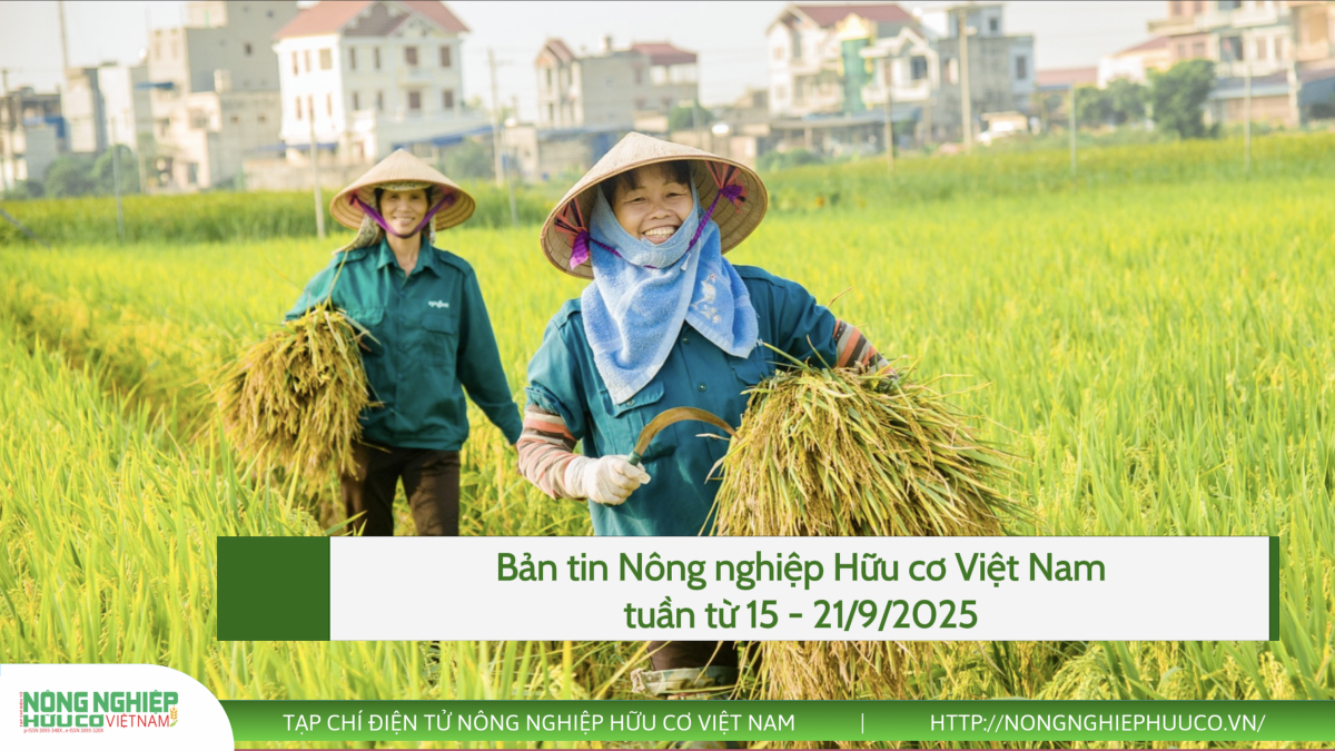 Bản tin Nông nghiệp hữu cơ, tuần từ 15 - 21/9/2025