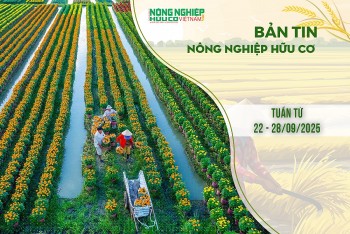 Bản tin Nông nghiệp hữu cơ, tuần từ 22 - 28/9/2025