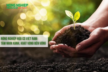 Nông nghiệp hữu cơ Việt Nam: Tầm nhìn xanh, khát vọng bền vững