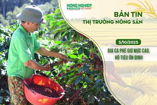 Thị trường nông sản 05/10/2025: Giá cà phê giữ mức cao, hồ tiêu ổn định