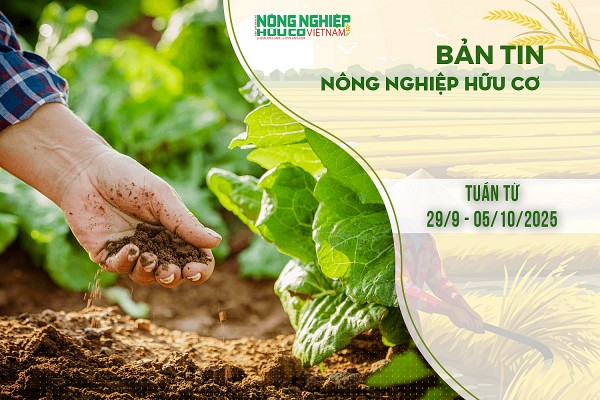 Bản tin Nông nghiệp hữu cơ, tuần từ 29/9 - 05/10/2025
