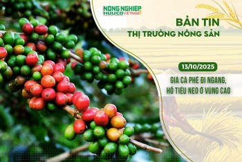 Thị trường nông sản 13/10/2025: Giá cà phê đi ngang, hồ tiêu neo ở vùng cao