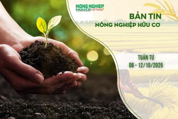 Bản tin Nông nghiệp hữu cơ, tuần từ 06 - 12/10/2025
