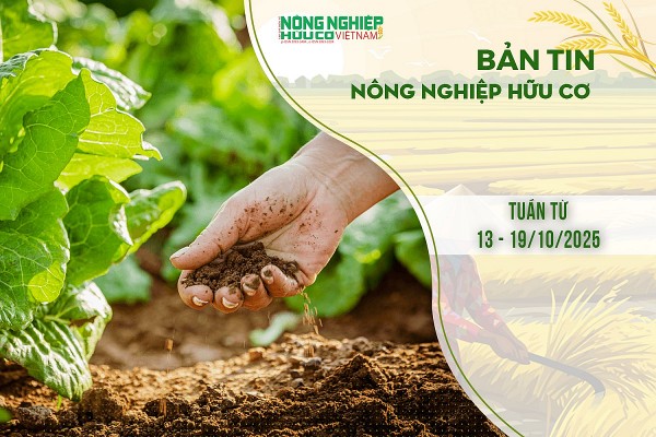 Bản tin Nông nghiệp hữu cơ, tuần từ 13 - 19/10/2025