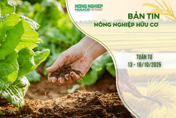 Bản tin Nông nghiệp hữu cơ, tuần từ 13 - 19/10/2025