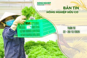 Bản tin Nông nghiệp Hữu cơ, tuần từ 22 - 28/12/2025