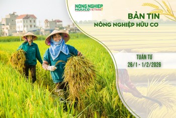 Bản tin Nông nghiệp Hữu cơ, tuần từ 26/1 - 1/2/2026