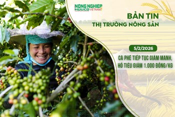 Thị trường nông sản 5/2/2026: Cà phê tiếp tục giảm mạnh, hồ tiêu giảm 1.000 đồng/kg