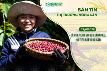 Thị trường nông sản 27/6/2026: Cà phê vượt 90.000 đồng/kg, hồ tiêu giữ vùng cao